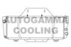 AUTOGAMMA 100032 Radiator, engine cooling